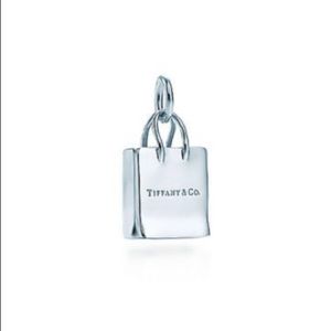Tiffany bag charm with necklace